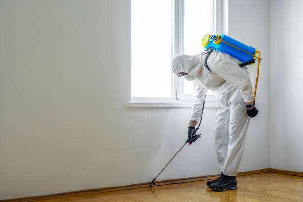 Best Affordable Pest Control Services  in East Greenville, PA