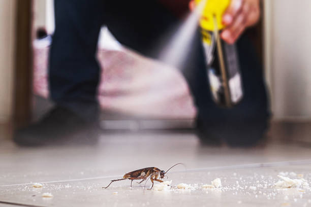 Best Termite Control Services  in East Greenville, PA